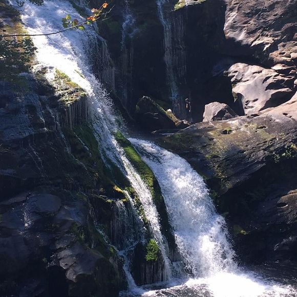 Posh Ambassador!!!! - Picture 3 of 3